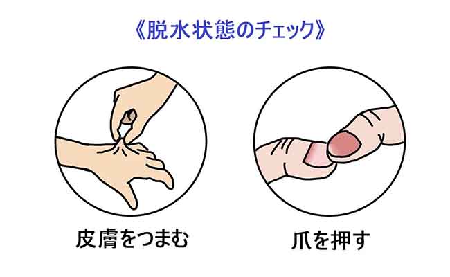 暑さ対策と脱水のサイン | 高校野球ドットコム